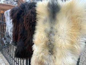 Saueskinn - Naturlig saueskinn - adam-leather-sheepskins
