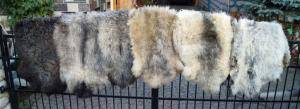 Saueskinn - Melerade - amazing-melerade-sheepskin