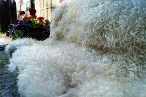 Saueskinn - Gotland - awesome-fluffy-sheepskin-gotland