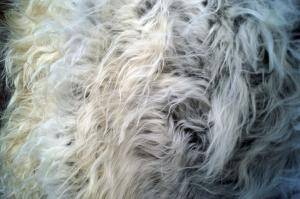 Saueskinn - Melerade - beautiful-melerade-sheepskin