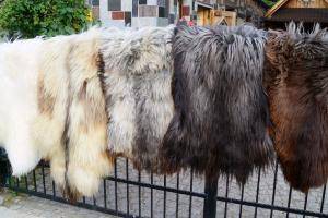 Saueskinn - Heidschnucke - beauty-heidschnucke-sheepskin
