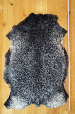 Saueskinn - Gotland - black-stunning-gotland-sheepskin