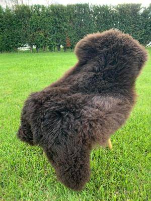 Saueskinn - Svenske - brown-swedish-sheepskins-adam-leather