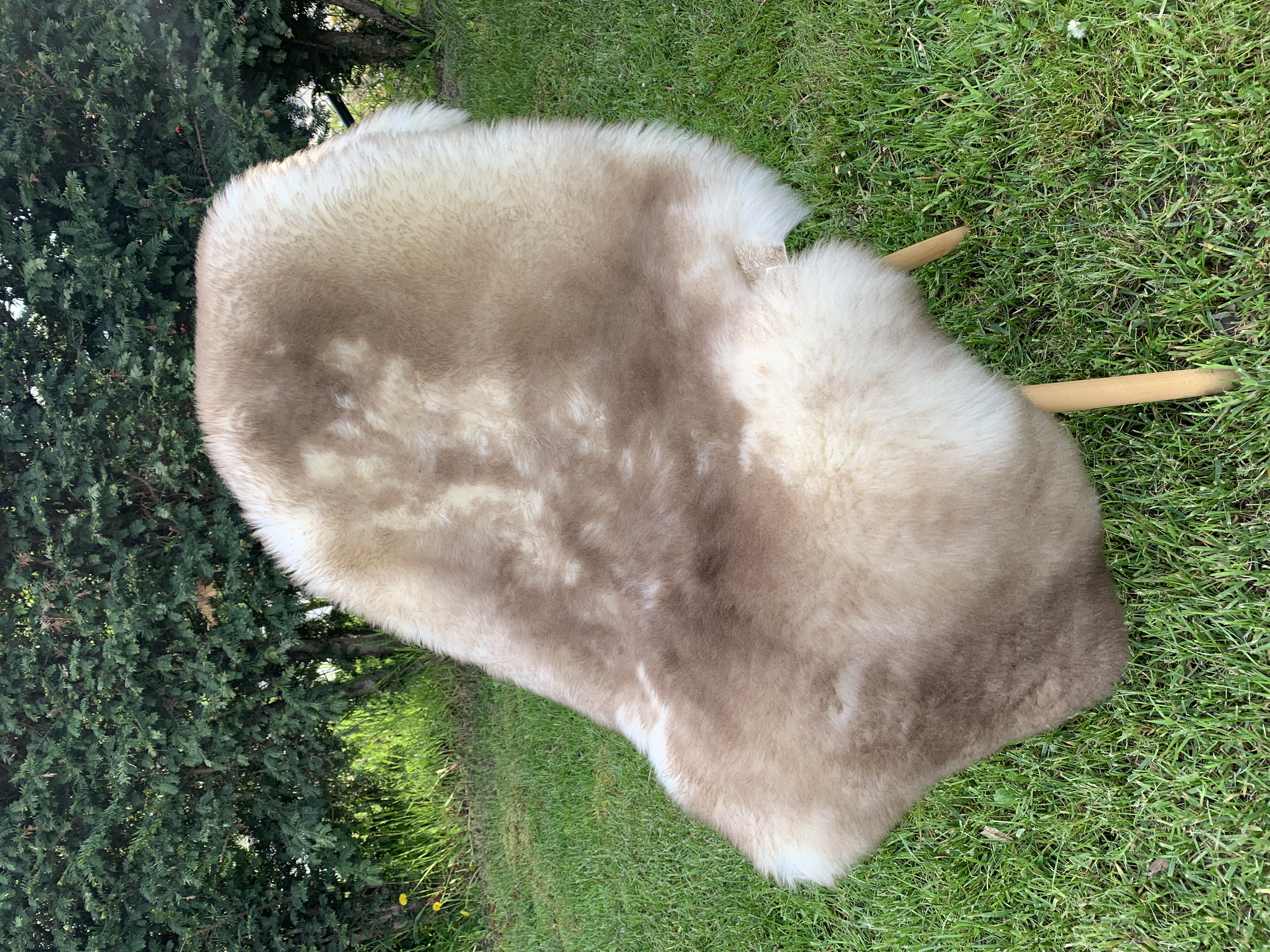 Saueskinn - Meliert - Cognac - cognac-meliert-sheepskins-adam-leather