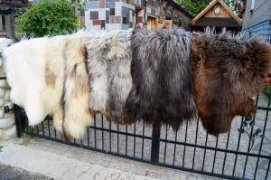 Saueskinn - Heidschnucke - decorative-heidschnucke-sheepskin
