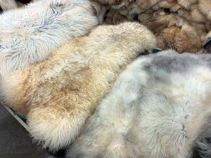 Saueskinn - Naturlig saueskinn - eco-natural-sheepskins-adam-leather