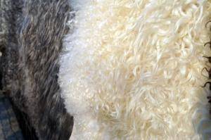 Saueskinn - Gotland - fluffy-gotland-sheepskin