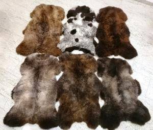 Saueskinn - Hollandske - glamorous-holland-sheepskin-texel