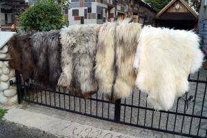 Saueskinn - Heidschnucke - gorgeous-heidschnucke-sheepskin