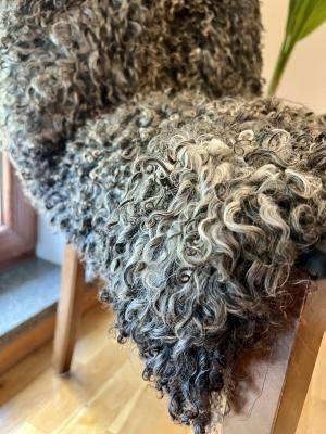 Saueskinn - Gotland - gotlandsheepskingreyandwhite1