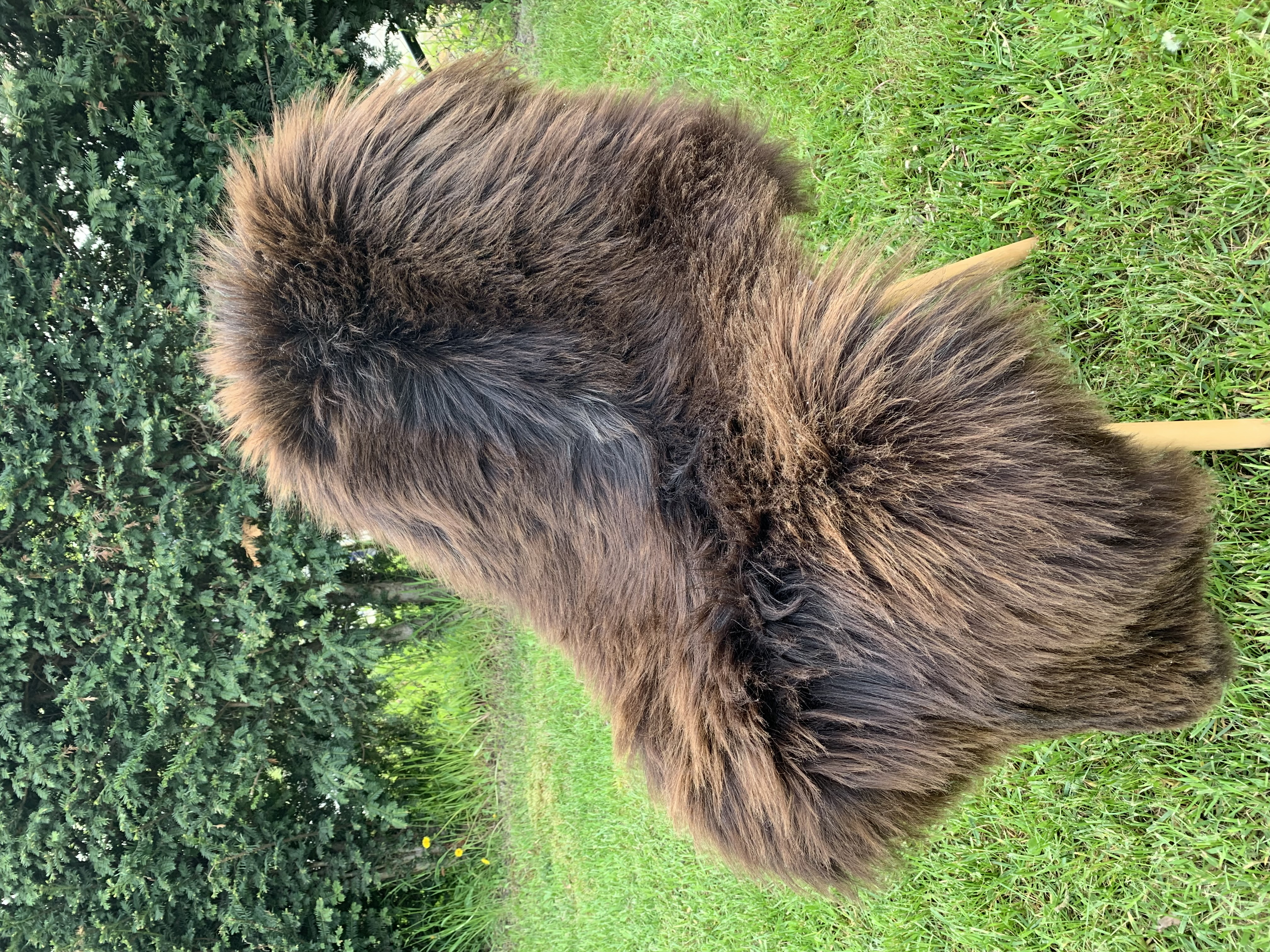 Saueskinn - Heidschnucke - heidschnucke-adam-leather-sheepskin
