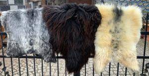 Saueskinn - Heidschnucke - heidschnucke-leather-sheepskins-adam-leather