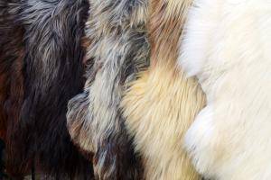 Saueskinn - Heidschnucke - heidschnucke-pretty-sheepskin
