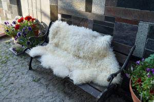 Saueskinn - Gotland - incredible-gotland-sheepskin
