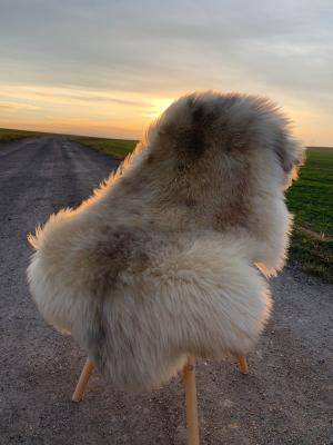 Saueskinn - Melerade - latte-melerade-sheepskin-adam-leather