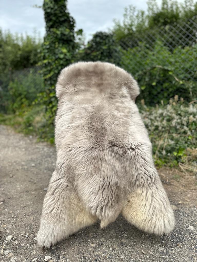 Saueskinn - Meliert - Cookies - meliert-cookies-sheepskins-adam-leather