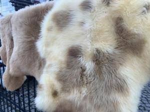 Saueskinn - Meliert - Stracciatella - meliert-stracciatella-eco-adam-leather-sheepskins