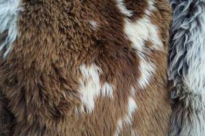 Saueskinn - Hollandske - natural-carpet-holland-sheepskin-texel
