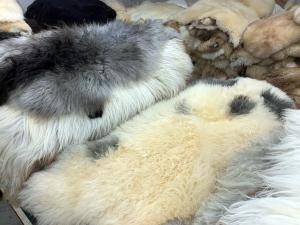Saueskinn - Naturlig saueskinn - natural-eco-sheepskins-adam-leather