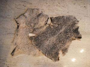 Saueskinn - Gotland - natural-sheepskin-carpet