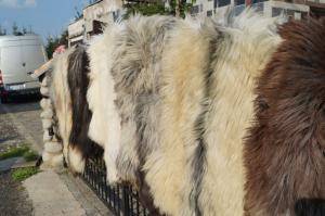 Saueskinn - Heidschnucke - original-heidschnucke-sheepskin