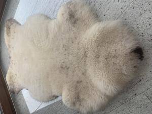 Saueskinn - Meliert - Cookies - original-meliert-cookies-sheepskin