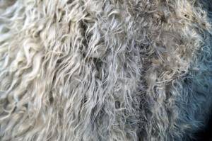 Saueskinn - Melerade - pretty-melerade-sheepskin