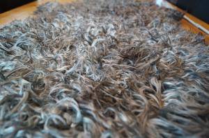 Saueskinn - Gotland - shocking-grey-gotland-sheepskin