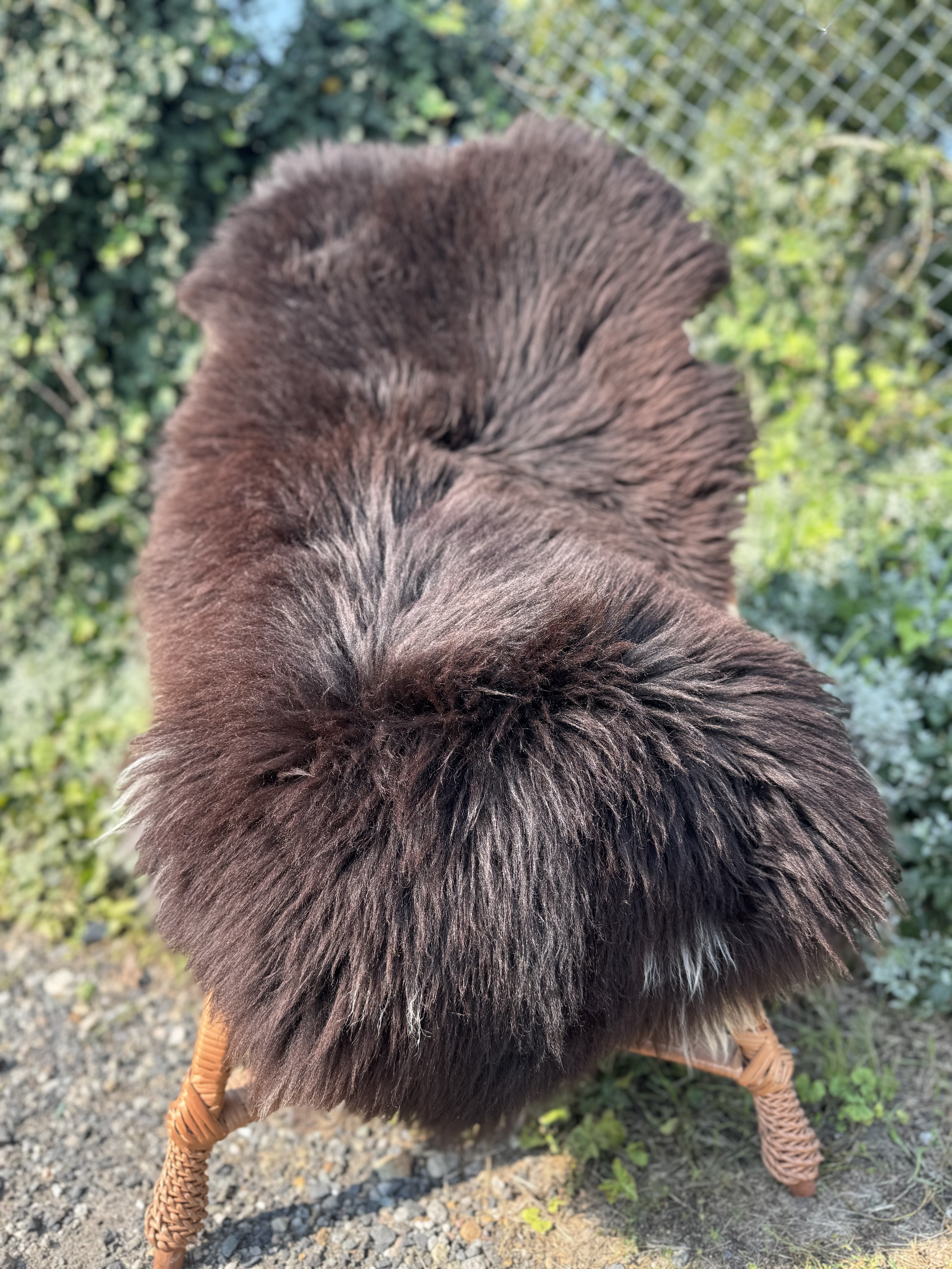 Saueskinn - Heidschnucke - skry-owcze-heidschuncke-sheepskin-schapenvacht-peau-de-mouton-frskinn-ovia-koa-ov-ke1