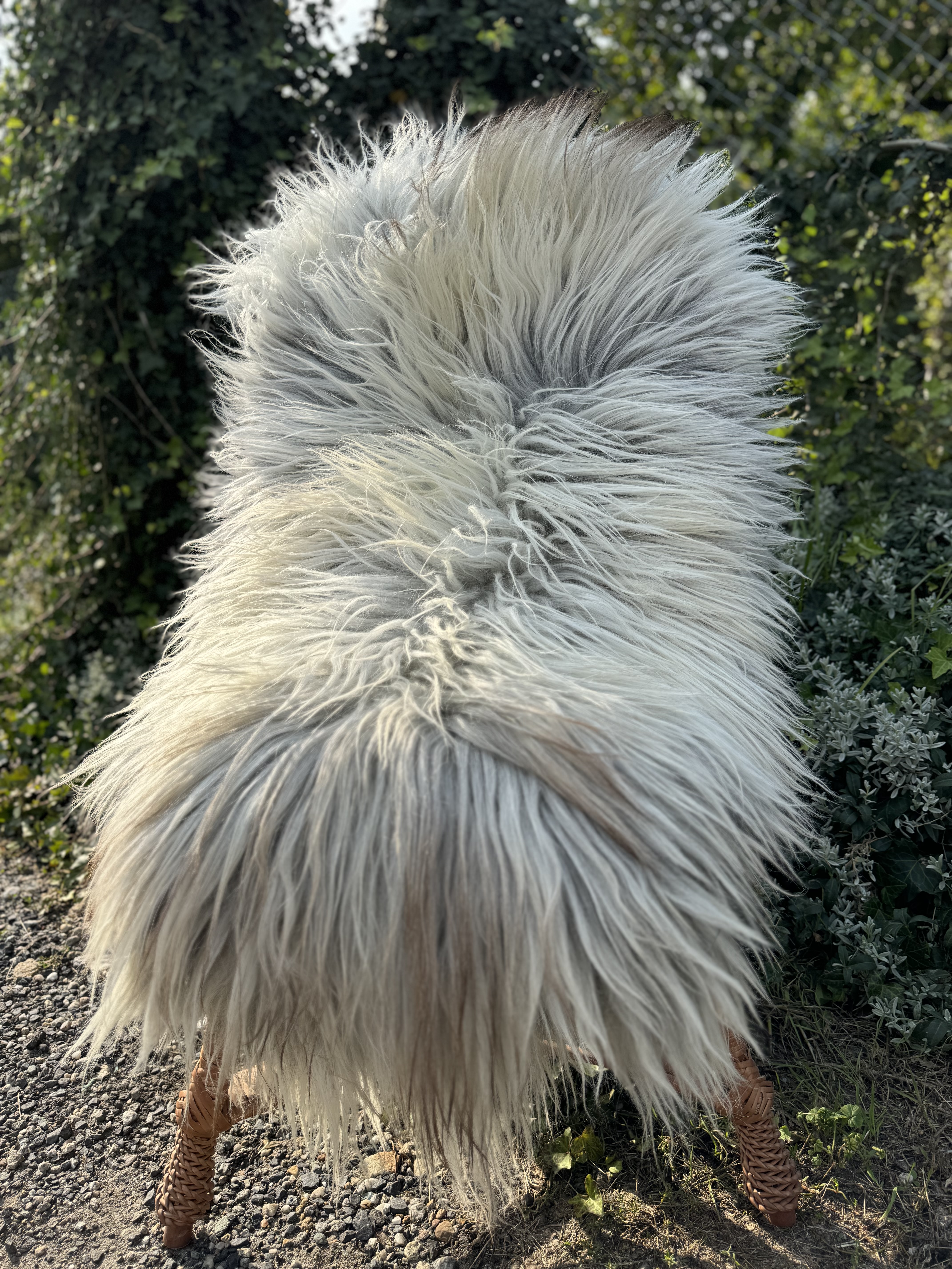 Saueskinn - Heidschnucke - skry-owcze-heidschuncke-sheepskin-schapenvacht-peau-de-mouton-frskinn-ovia-koa-ov-ke2