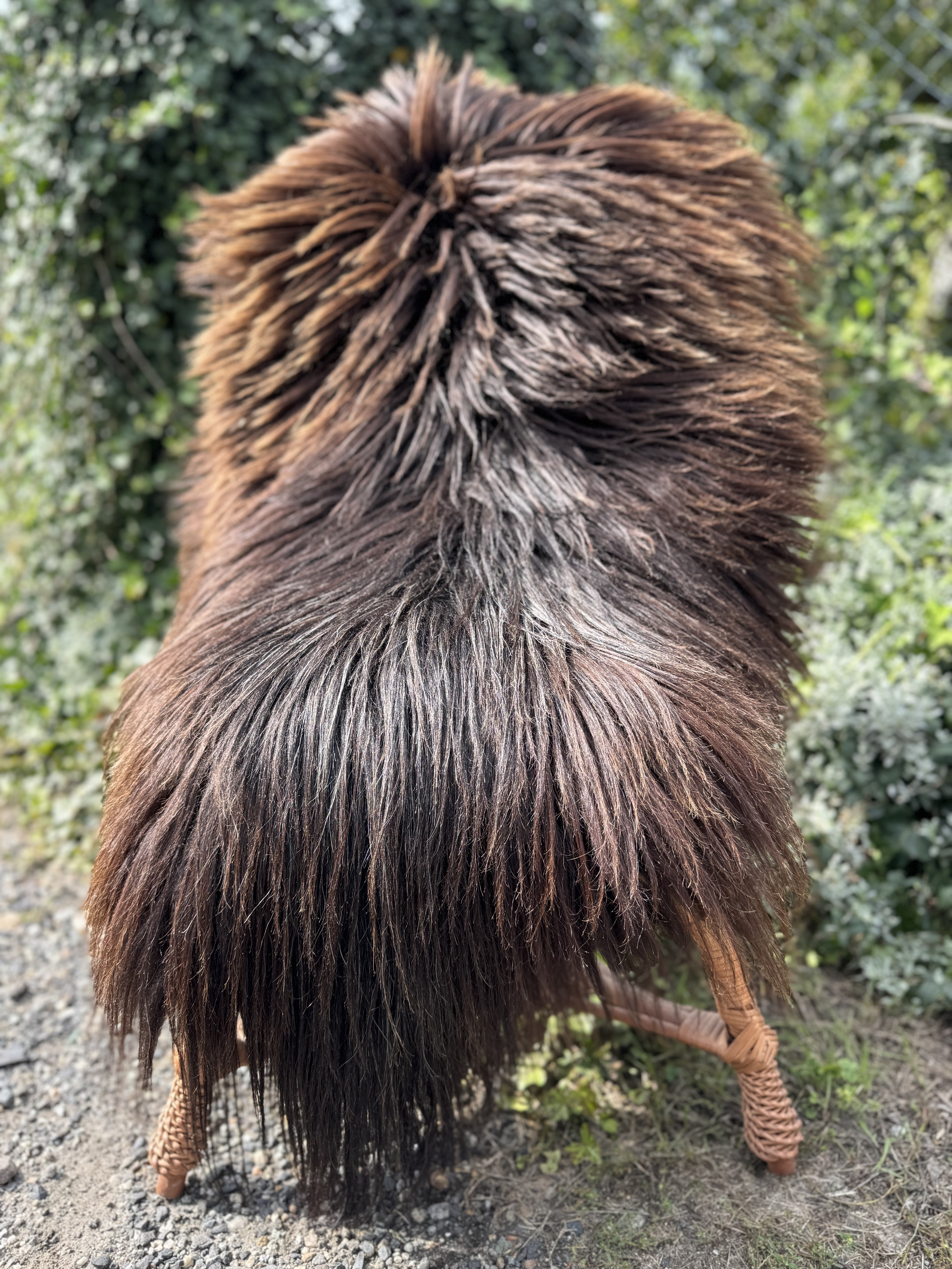 Saueskinn - Heidschnucke - skry-owcze-heidschuncke-sheepskin-schapenvacht-peau-de-mouton-frskinn-ovia-koa-ov-ke3