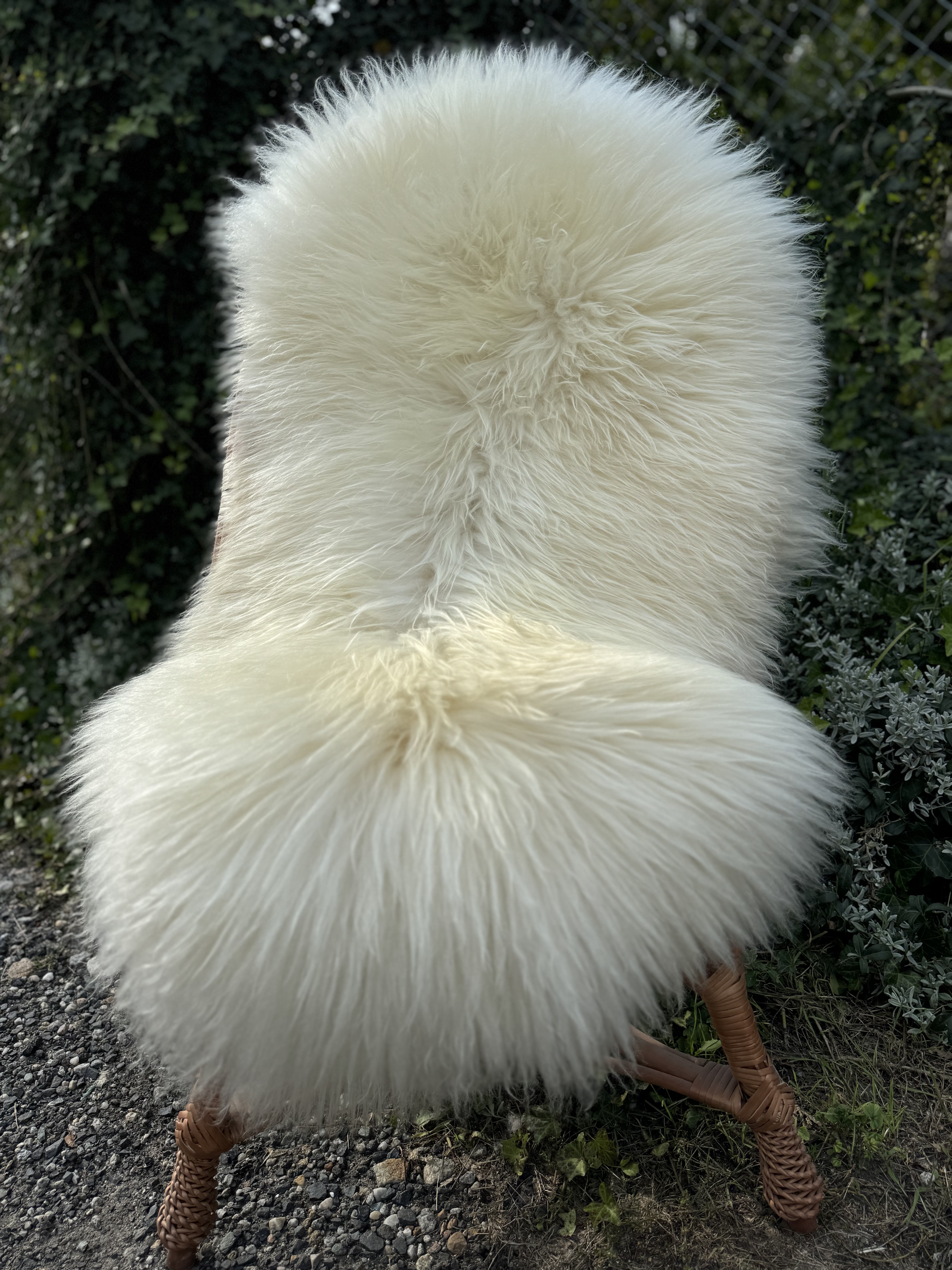 Saueskinn - Heidschnucke - skry-owcze-heidschuncke-sheepskin-schapenvacht-peau-de-mouton-frskinn-ovia-koa-ov-ke4
