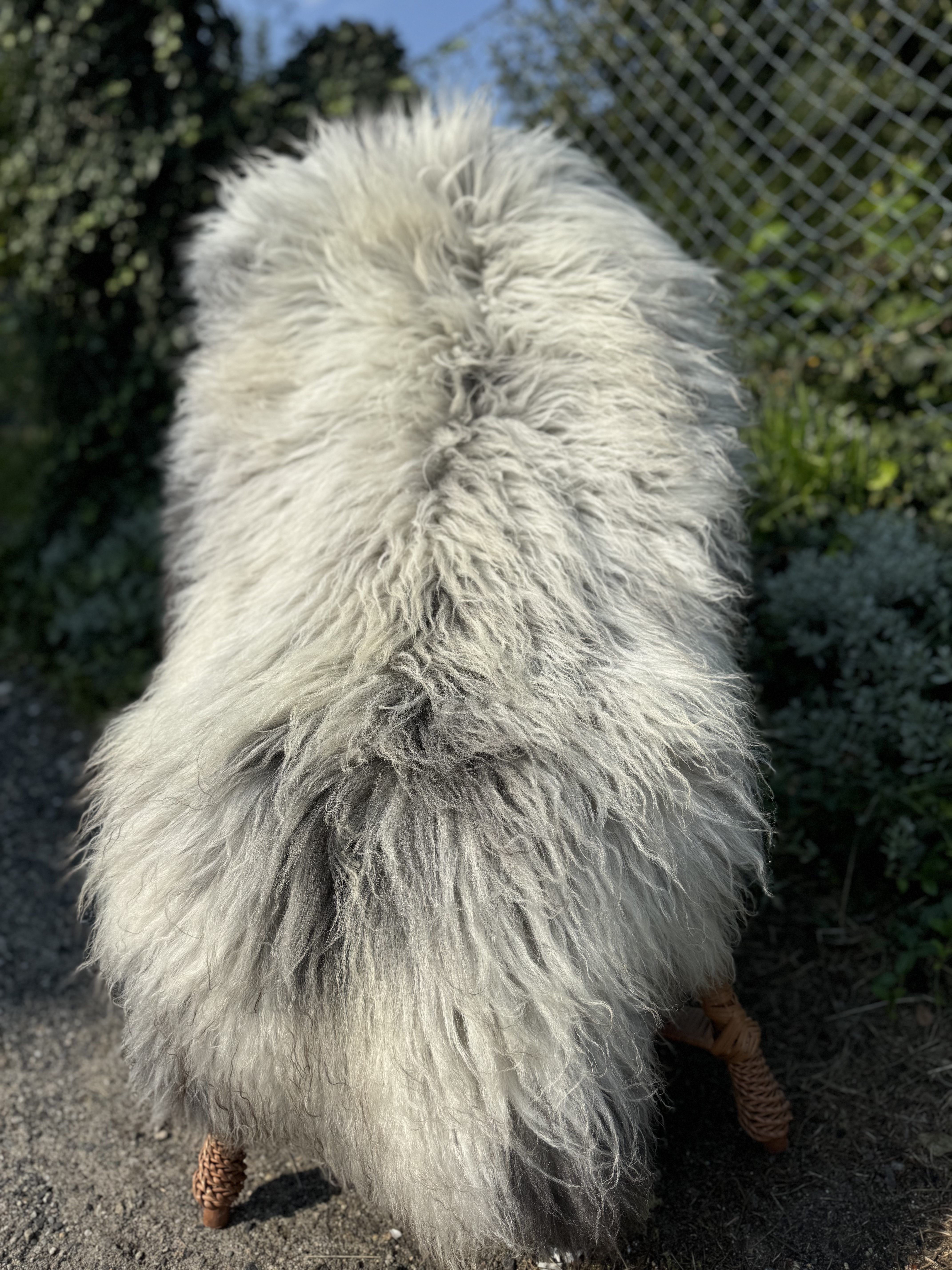 Saueskinn - Heidschnucke - skry-owcze-heidschuncke-sheepskin-schapenvacht-peau-de-mouton-frskinn-ovia-koa-ov-ke