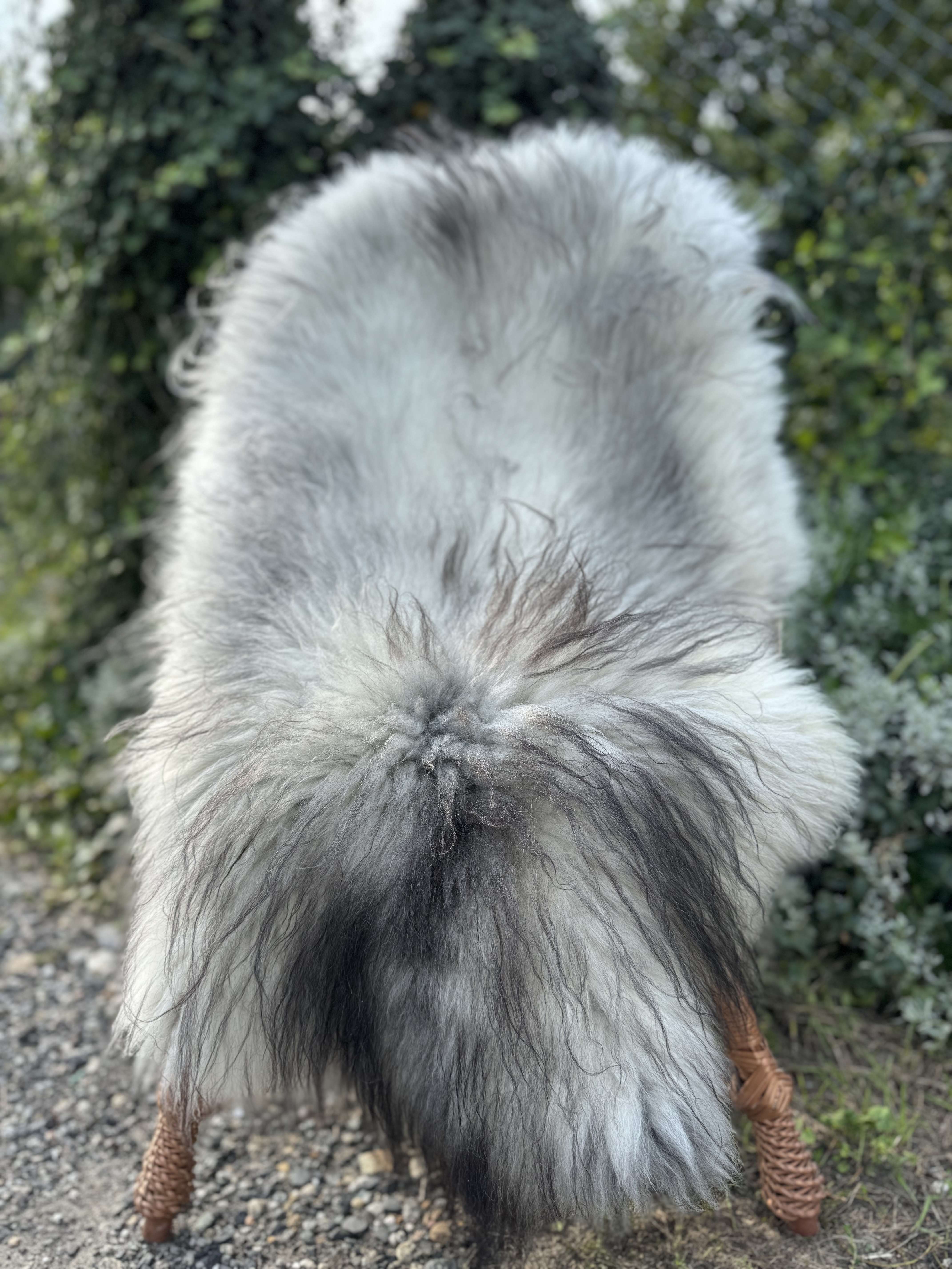 Saueskinn - Melerade - skry-owcze-melerade-sheepskin-schapenvacht-peau-de-mouton-frskinn-ovia-koa-ov-ke-melerade1