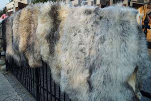 Saueskinn - Melerade - soft-melerade-sheepskin