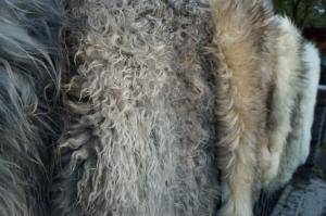 Saueskinn - Melerade - stunning-melerade-sheepskin