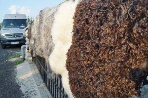 Saueskinn - Svenske - swedish-sheepskins1