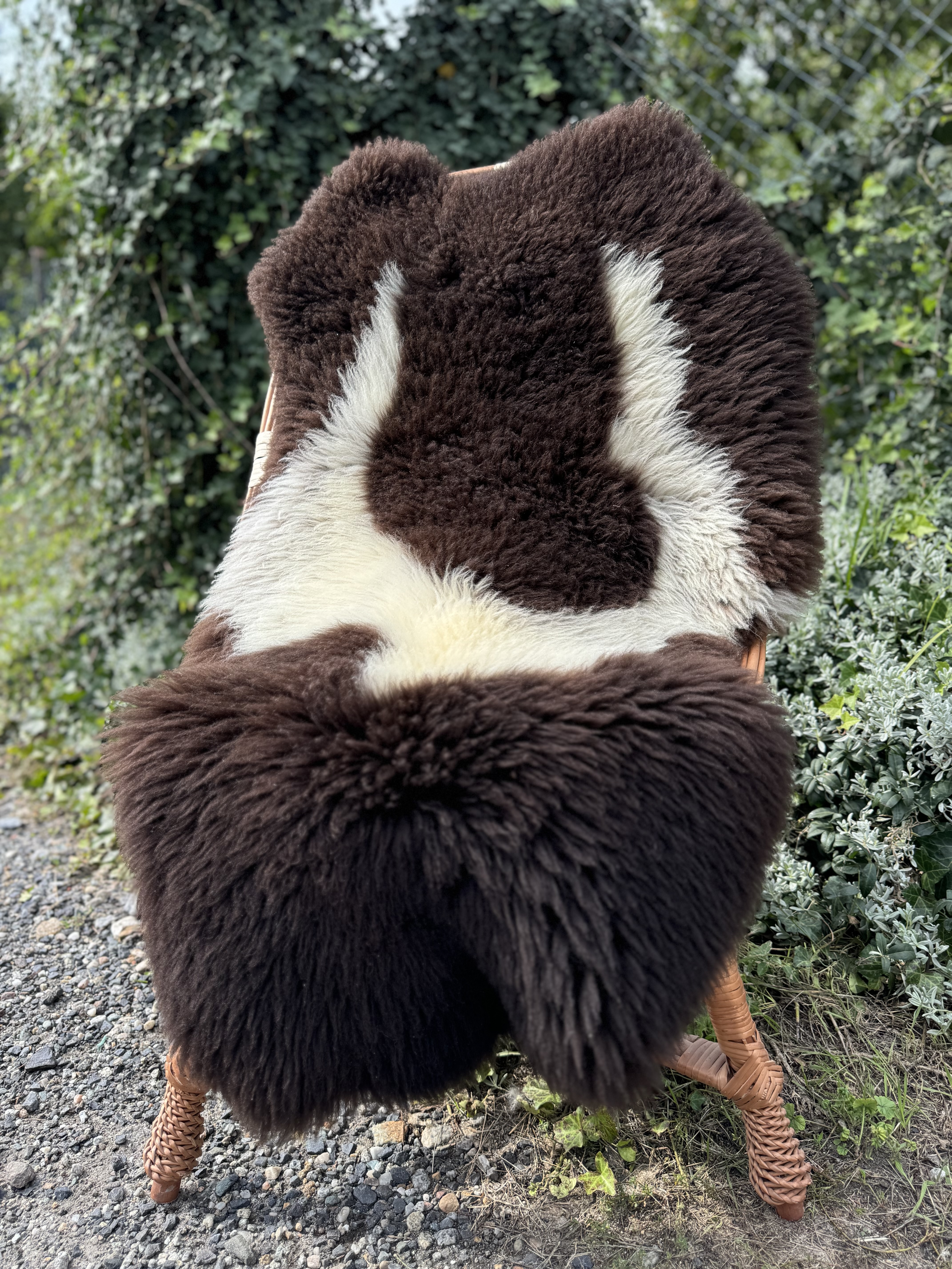 Saueskinn - Svenske - szwedzkie-skry-owcze-swedish-sheepskins-schwedische-schaffelle-zweedse-schapenvachten-peaux-de-mouton-sudoises1