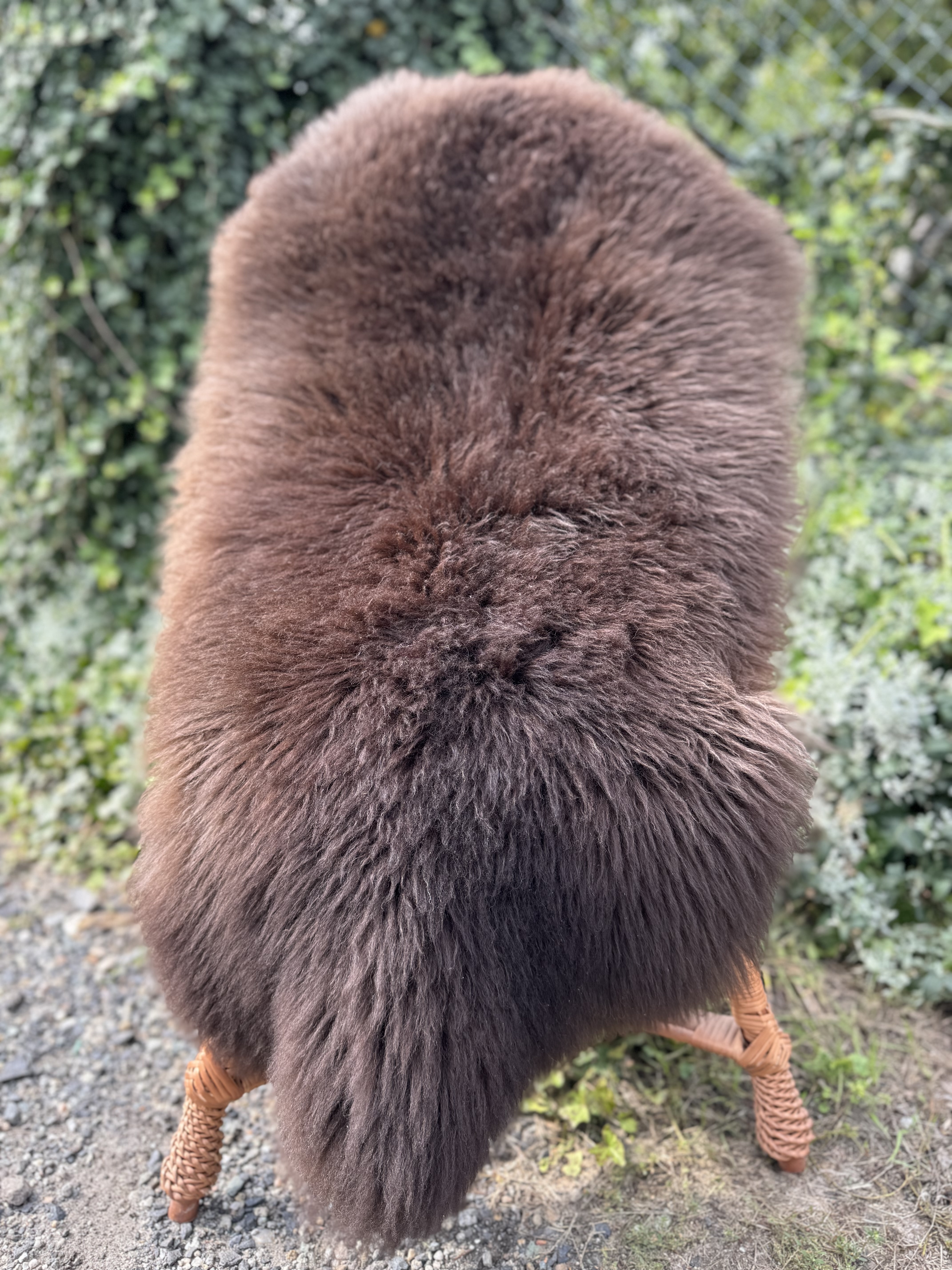 Saueskinn - Svenske - szwedzkie-skry-owcze-swedish-sheepskins-schwedische-schaffelle-zweedse-schapenvachten-peaux-de-mouton-sudoises2