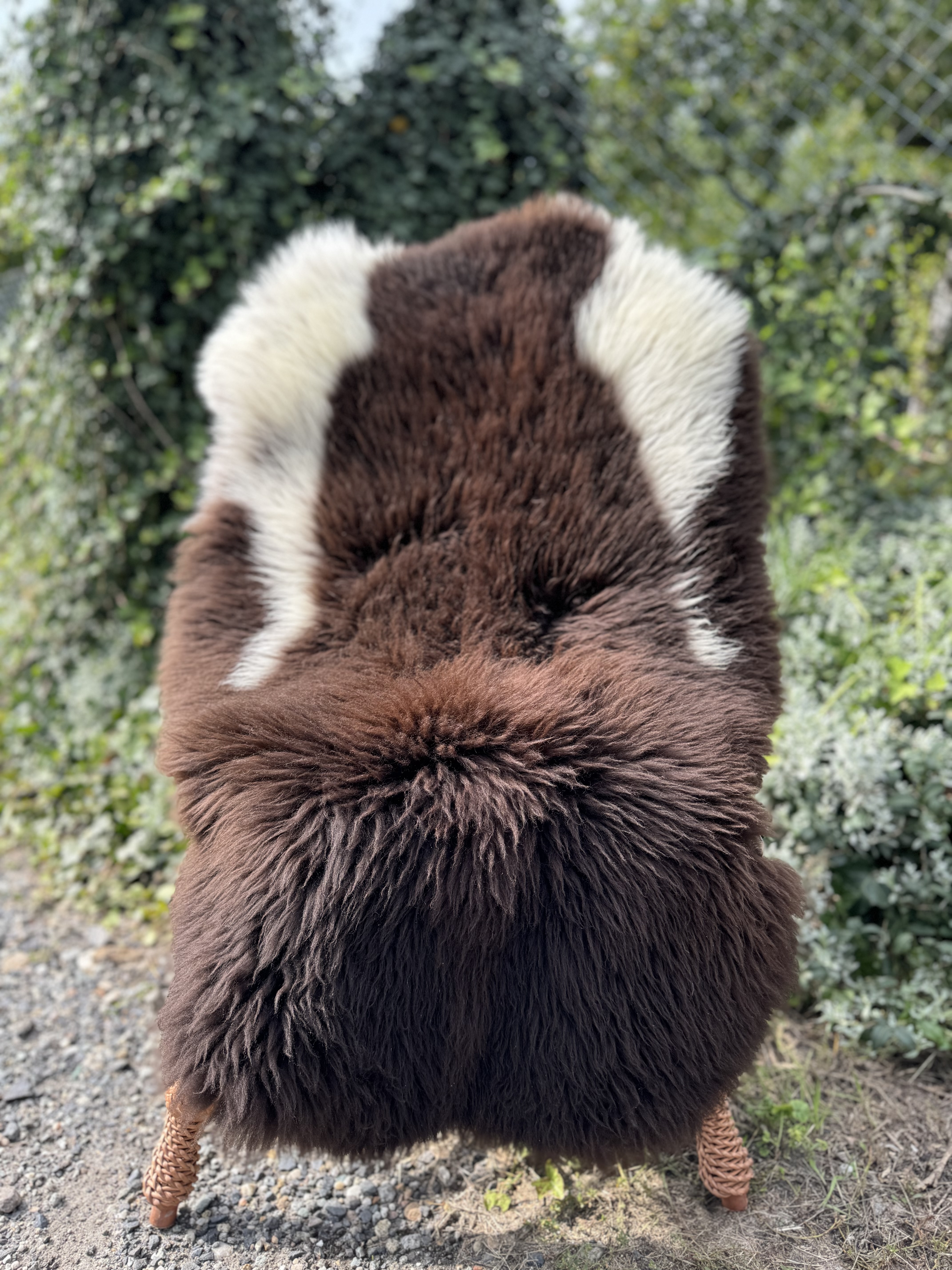 Saueskinn - Svenske - szwedzkie-skry-owcze-swedish-sheepskins-schwedische-schaffelle-zweedse-schapenvachten-peaux-de-mouton-sudoises3