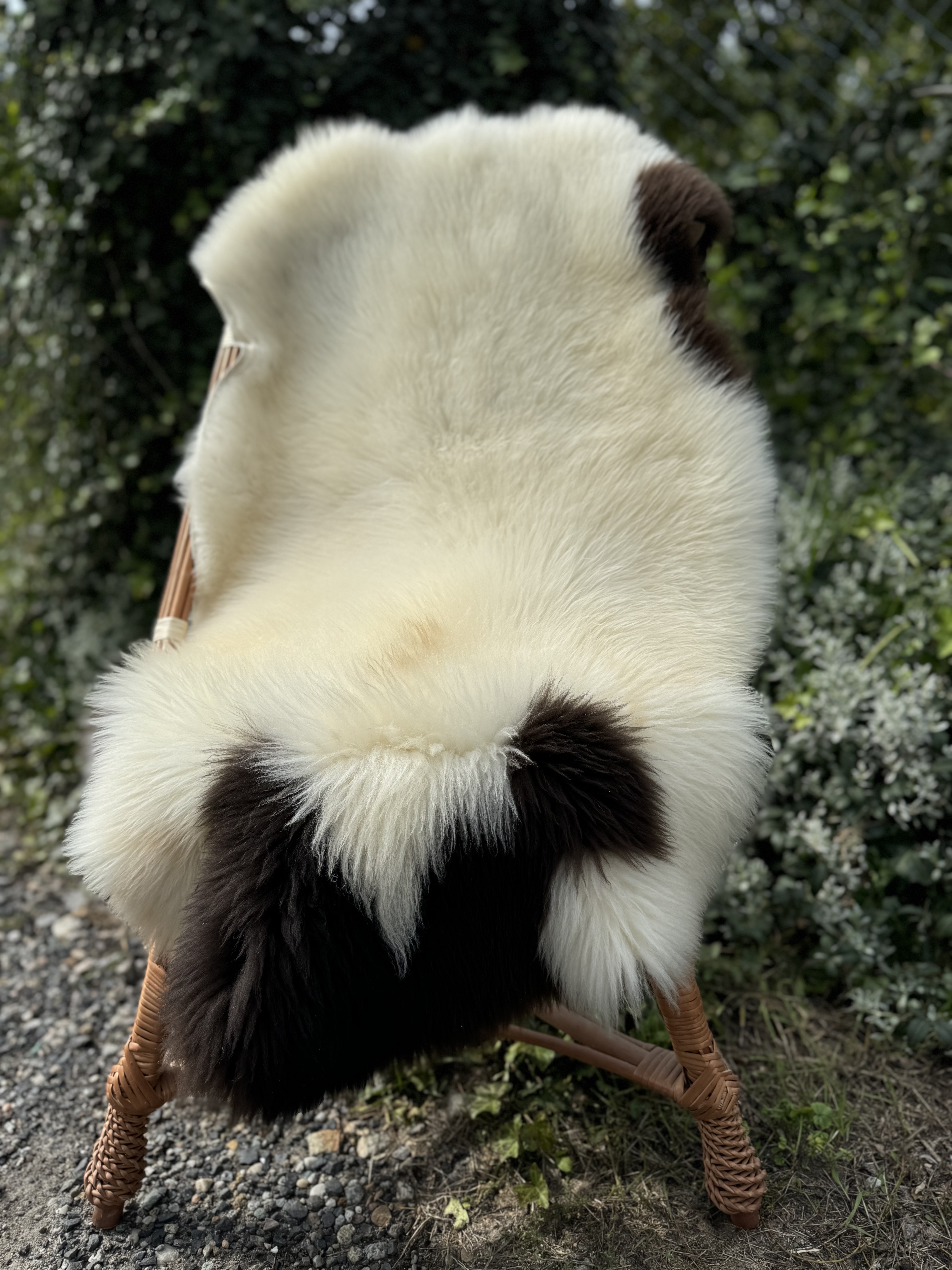 Saueskinn - Svenske - szwedzkie-skry-owcze-swedish-sheepskins-schwedische-schaffelle-zweedse-schapenvachten-peaux-de-mouton-sudoises4