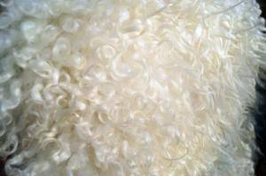 Saueskinn - Gotland - unique-fluffy-sheepskin-gotland