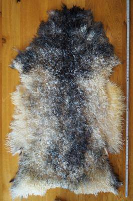 Saueskinn - Gotland - unique-sheepskin