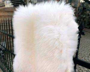 Saueskinn - Naturlig saueskinn - white-natural-sheepskins-sheep-adam-leather