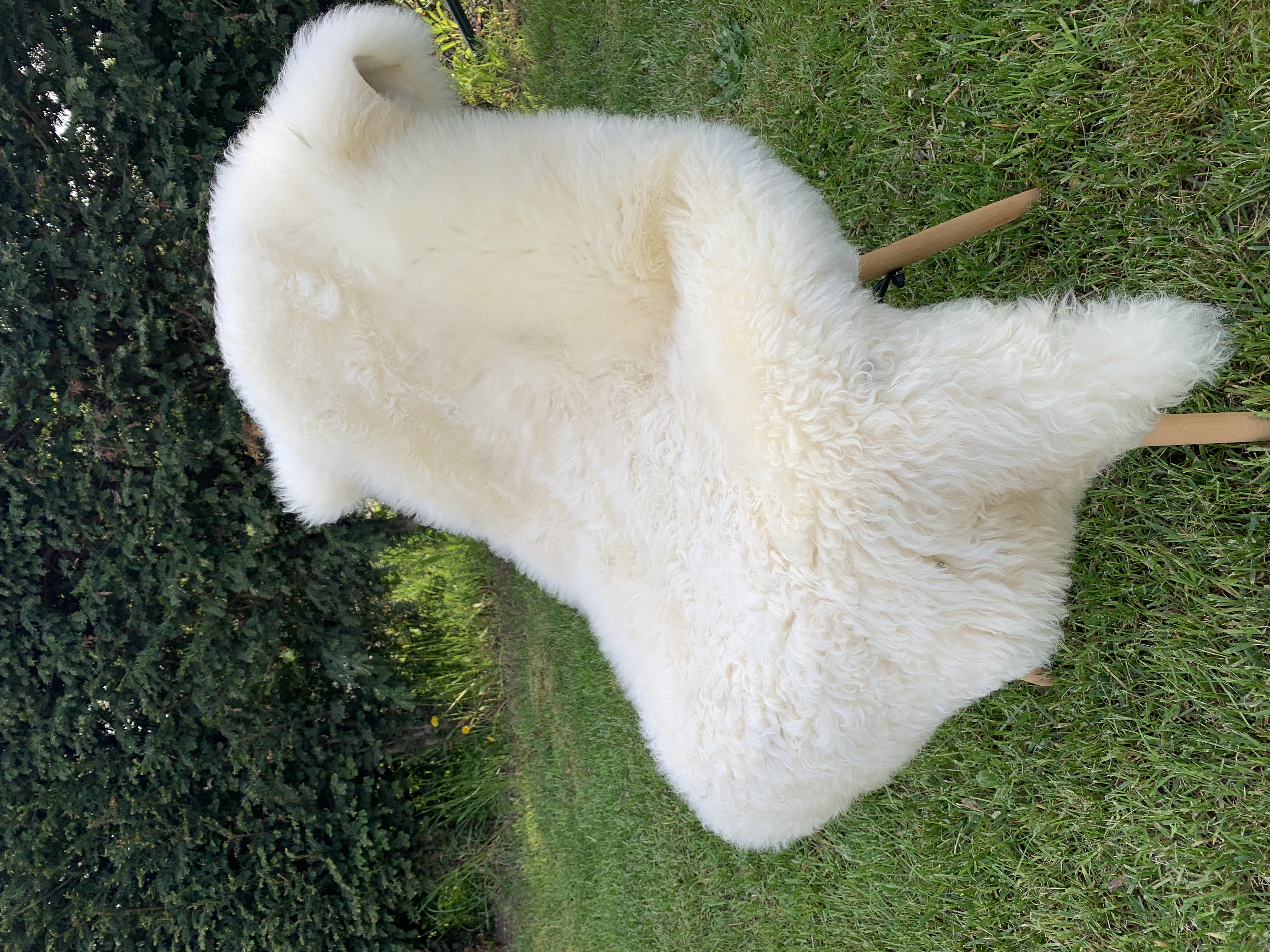 Saueskinn - Svenske - white-swedish-sheepskins-adam-leather