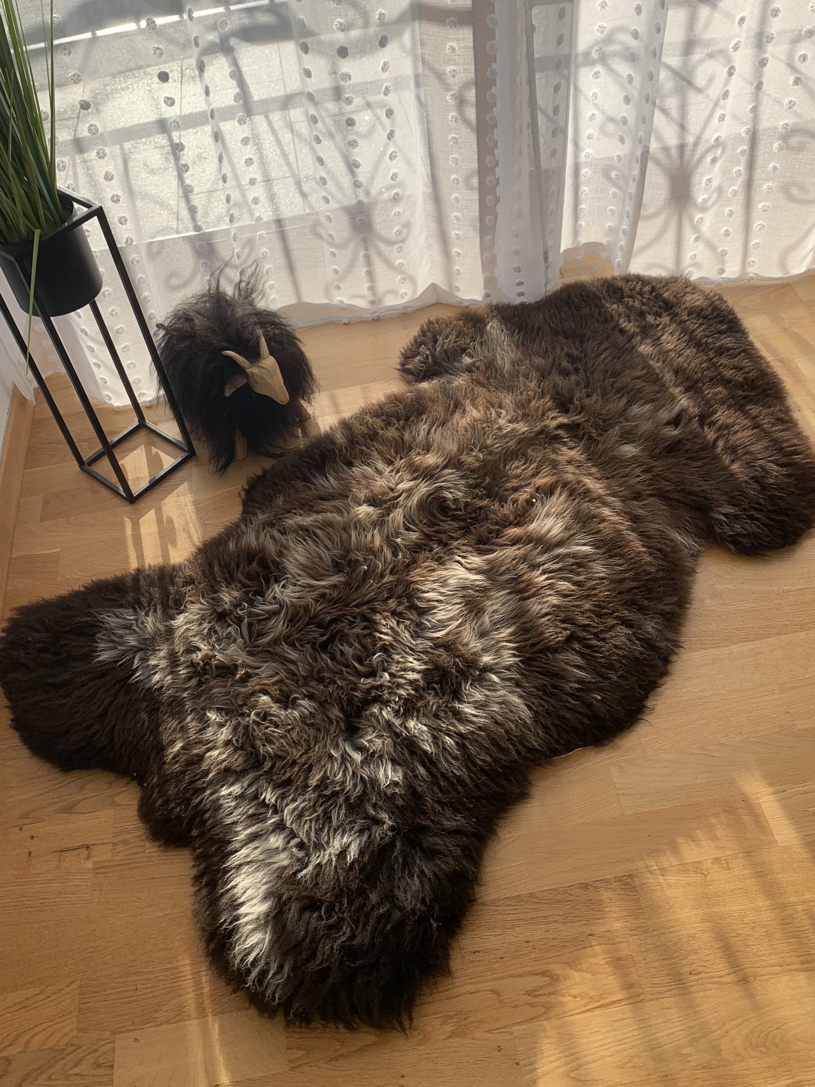 Saueskinn -  Saueskinn - texel-brown-sheepskin-adam-leather