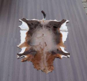 Saueskinn - Skinn fra Afrika - 900338_original-african-skins-adam-leather