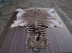 Saueskinn - Skinn fra Afrika - artistic-african-skins-adam-leather