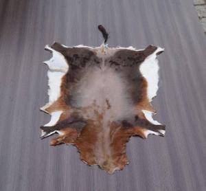 Saueskinn - Skinn fra Afrika - awseome-african-skins-adam-leather-eco