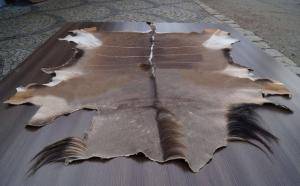 Saueskinn - Skinn fra Afrika - beaut-african-skins-adam-leather